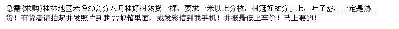 求購桂林地區(qū)米徑30公分八月桂好樹熟貨一棵