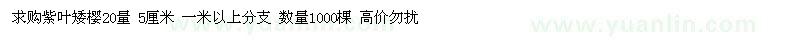 求購紫葉矮櫻
