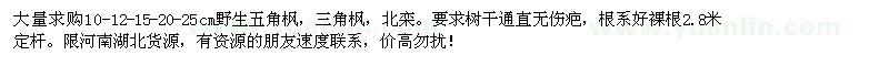 求購野生五角楓，三角楓，北欒