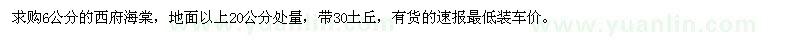求購6公分的西府海棠 