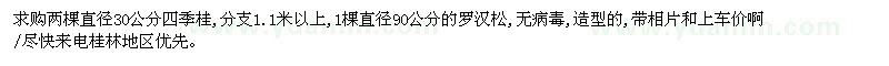 求購兩棵直徑30公分四季桂,1棵直徑90公分的羅漢松