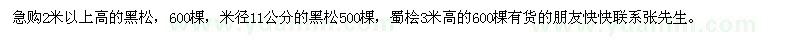 求購黑松，黑松，蜀檜