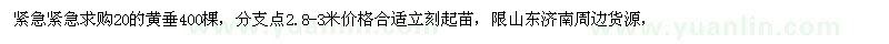 求購緊急20的黃垂400棵