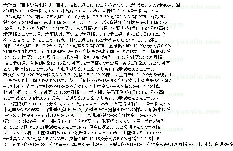 求購(gòu)油松 青仟 冷杉 紅皮云杉 側(cè)柏 塘棲 黃櫨 五角楓 火炬樹(shù)