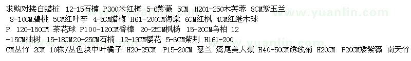 求購石楠 對接白蠟樁 紫薇 木芙蓉 紫玉蘭 碧桃 紅葉李 紅楓