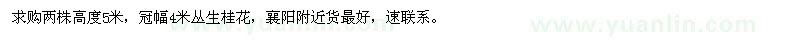 求購兩株高度5米，冠幅4米叢生桂花