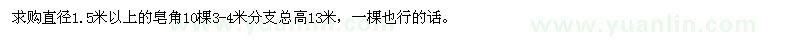 求購(gòu)直徑1.5米以上的皂角10棵