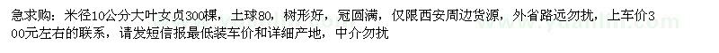 求購急米徑10公分大葉女貞300棵