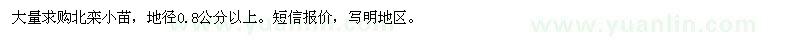 求購北欒小苗