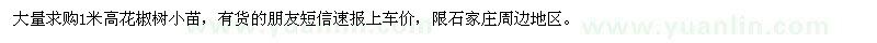 求購1米高花椒樹小苗