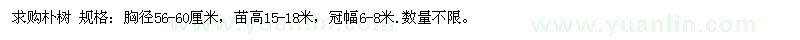 求購(gòu)樸樹