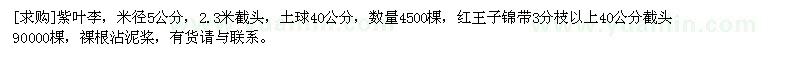 求購紫葉李，米徑5公分，2.3米截頭，紅王子錦