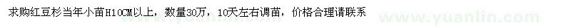 求購(gòu)紅豆杉當(dāng)年小苗H10CM以上
