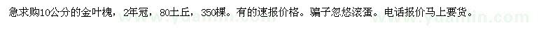 求購(gòu)10公分的金葉槐