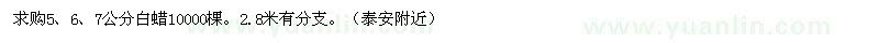 求購(gòu)白蠟