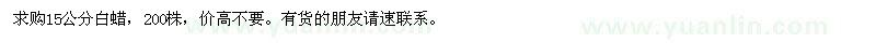 求購15公分白蠟