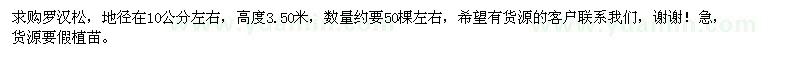 求購地徑10公分左右羅漢松