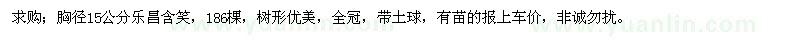 求購(gòu)15公分樂(lè)昌含笑
