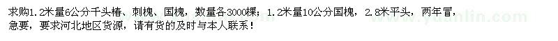 求購6公分千頭椿、刺槐、國槐各3000棵