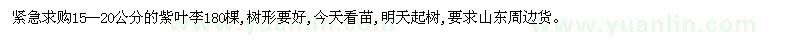 求購15--20公分的紫葉李180棵 