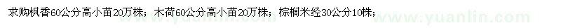 求購楓香60公分高小苗；木荷60公分高小苗 