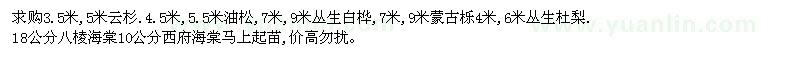 求購(gòu)云杉.油松,叢生白樺,蒙古櫟 