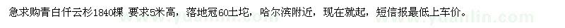 求購青白仟云杉1840棵 