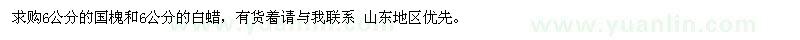 求購6公分的國槐和6公分的白蠟 
