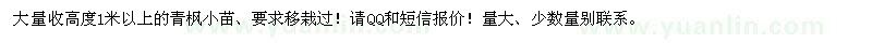 求購高度1米以上的青楓小苗 