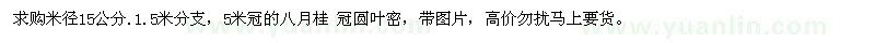 求購米徑15公分.1.5米分支，5米冠的八月桂 