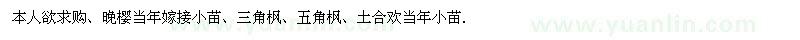 求購(gòu) 櫻花、三角楓、五角楓、土合歡當(dāng)年小苗