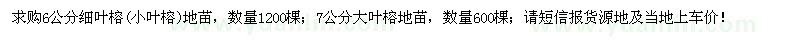 求購6公分細(xì)葉榕、7公分大葉榕