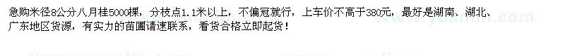 求購米徑8公分八月桂5000棵