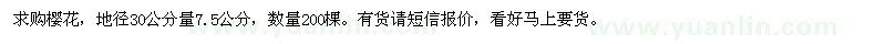 求購7.5公分櫻花