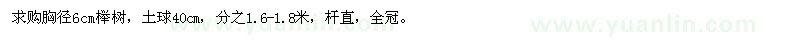 求購胸徑6cm櫸樹