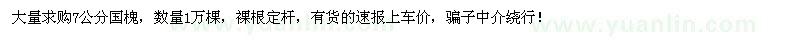求購7公分國槐1萬棵