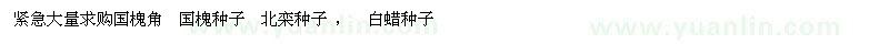 求購緊急大量求購國槐角  國槐種子  北欒種子