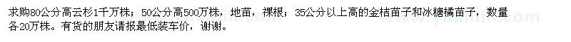 求購云杉,金桔,冰糖橘