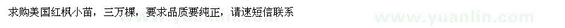 求購美國紅楓小苗