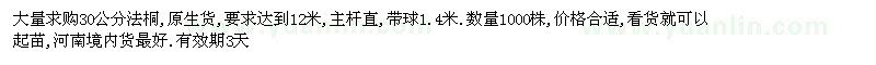 求購30公分法桐