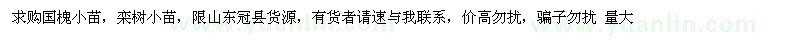 求購(gòu)國(guó)槐小苗，欒樹小苗