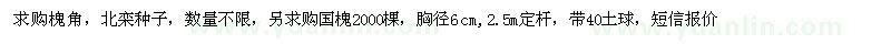 求購槐角，北欒種子