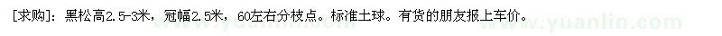 求購黑松高2.5-3米，冠幅2.5米