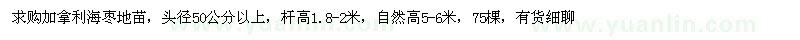 求購加拿利海棗地苗
