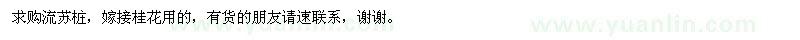 求購流蘇樁