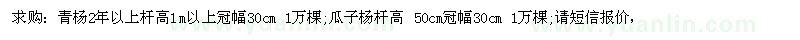 求購(gòu)青楊