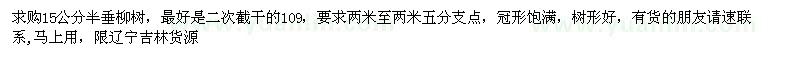 求購15公分半垂柳樹