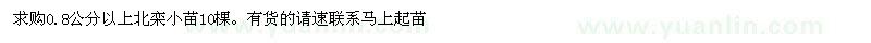 求購0.8公分以上北欒小苗10棵 