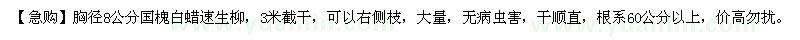 求購(gòu)胸徑8公分國(guó)槐白蠟速生柳，3米截干