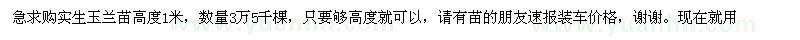求購實生玉蘭苗高度1米 